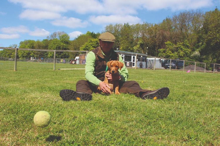 Howard Kirby playing with a gundog puppy