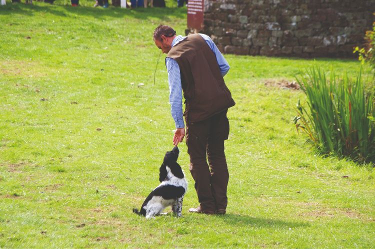 A gundog trainer with a spaniel at his heel